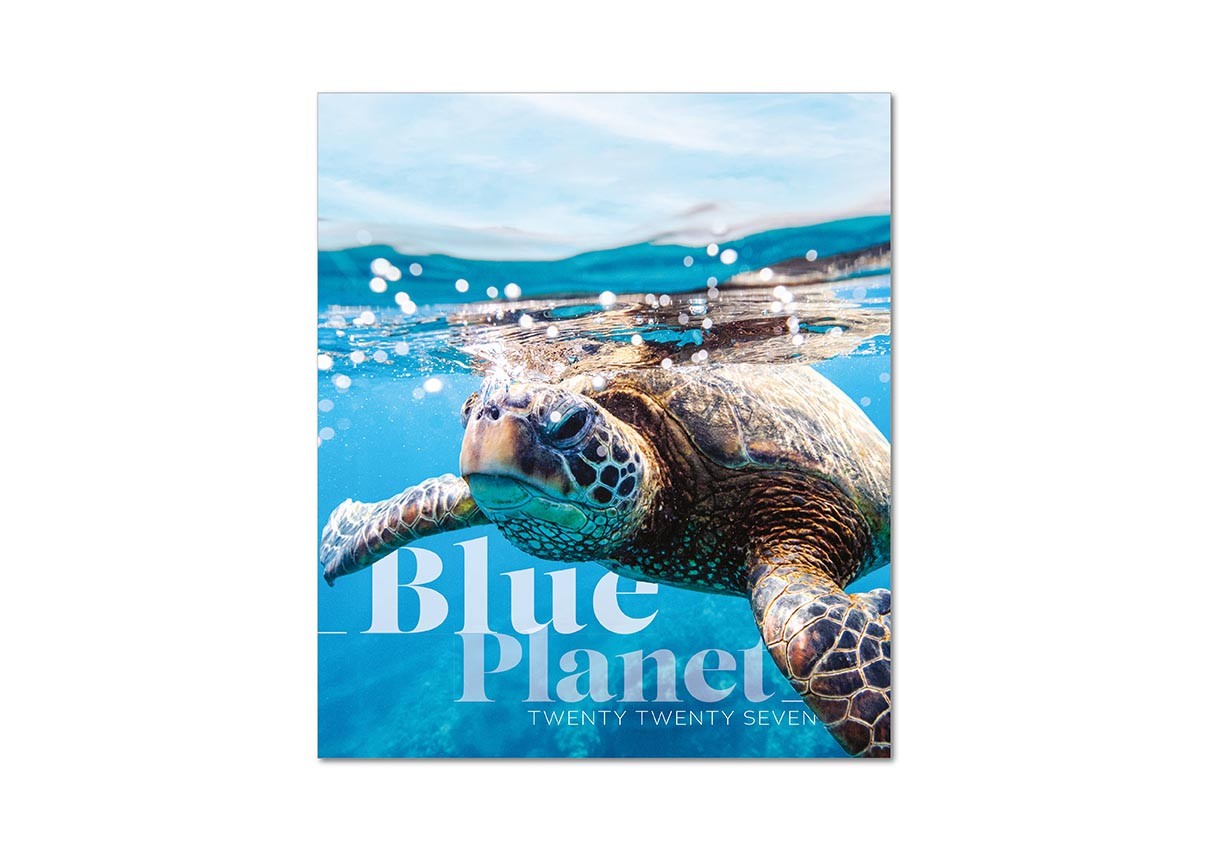 Blue Planet Mini Desk Calendar