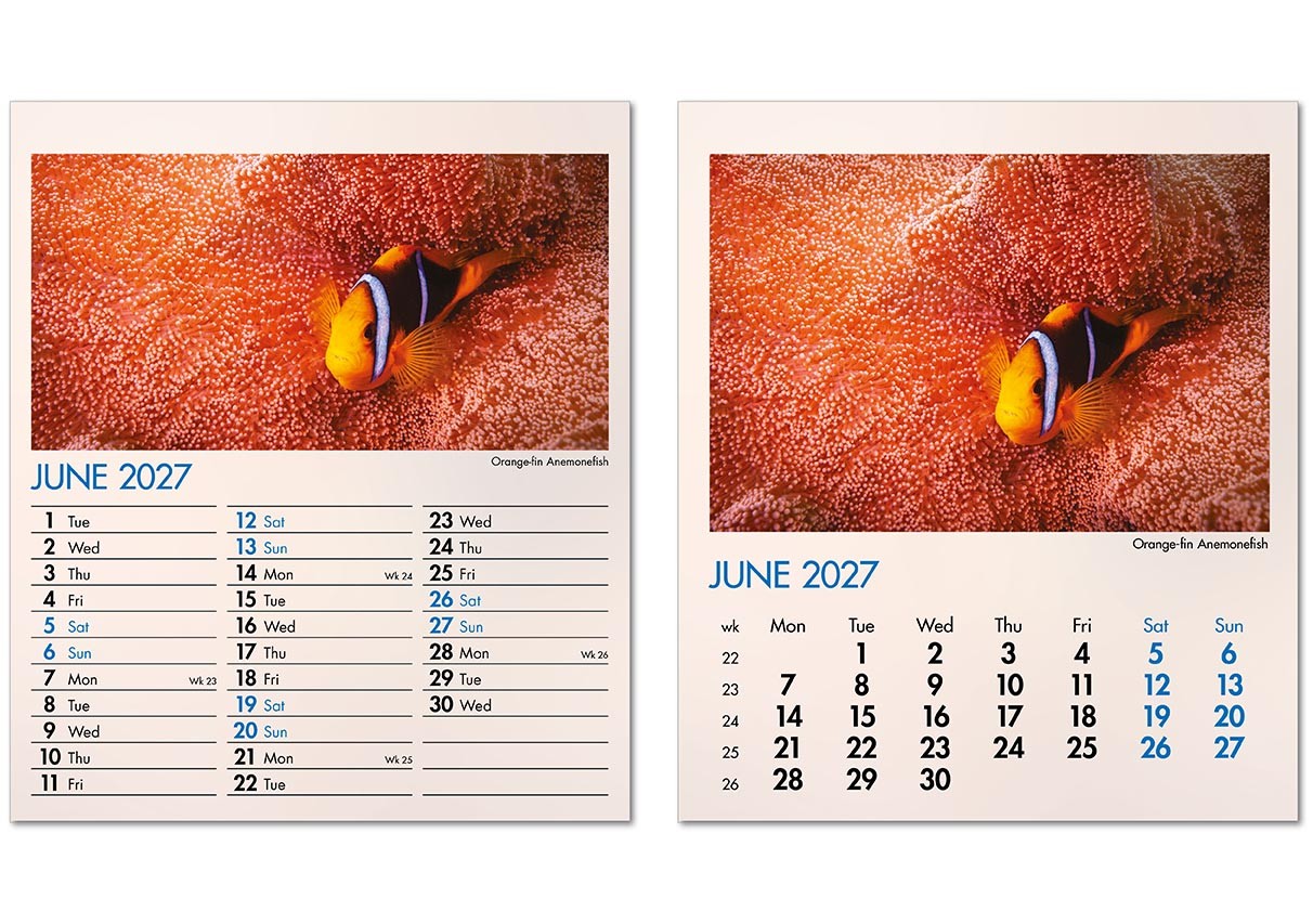 Blue Planet Mini Desk Calendar