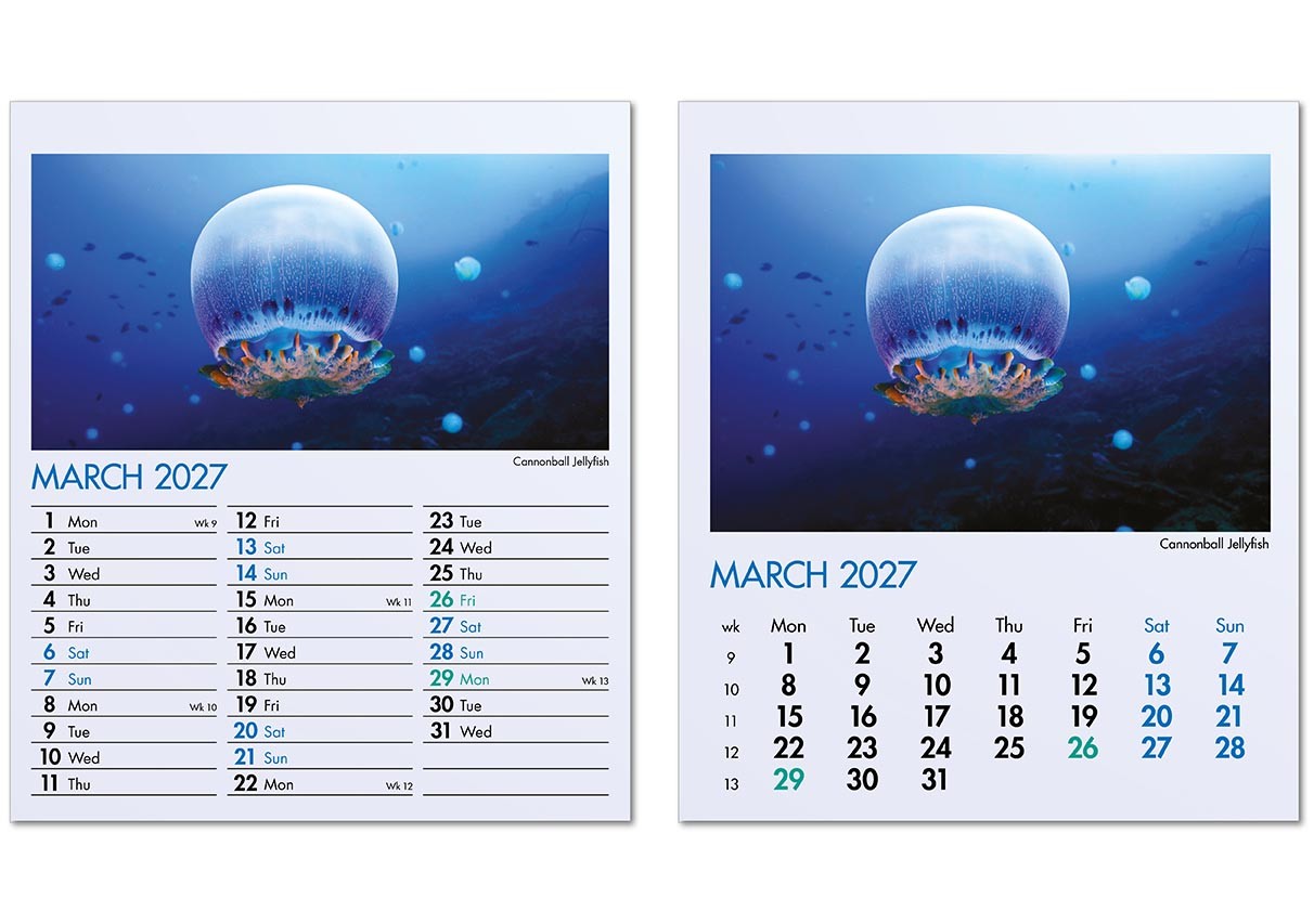 Blue Planet Mini Desk Calendar