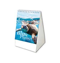 Blue Planet Mini Desk Calendar