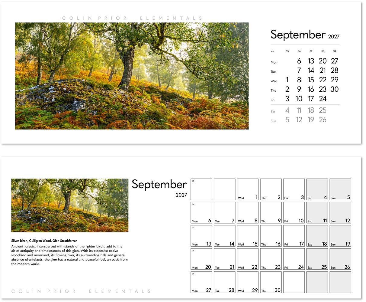 Colin Prior Elementals Premium Lined Easel Desk Calendar