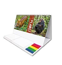 Wild Planet Note Station Desk Calendar 