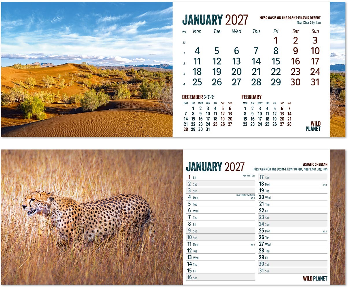 Wild Planet Premium Lined Easel Desk Calendar