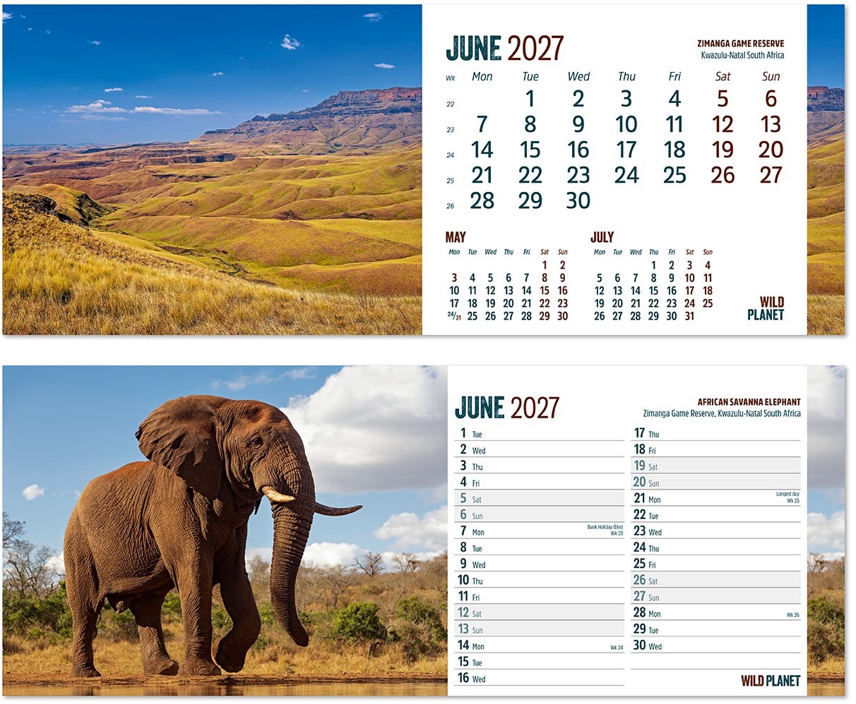 Wild Planet Premium Lined Easel Desk Calendar