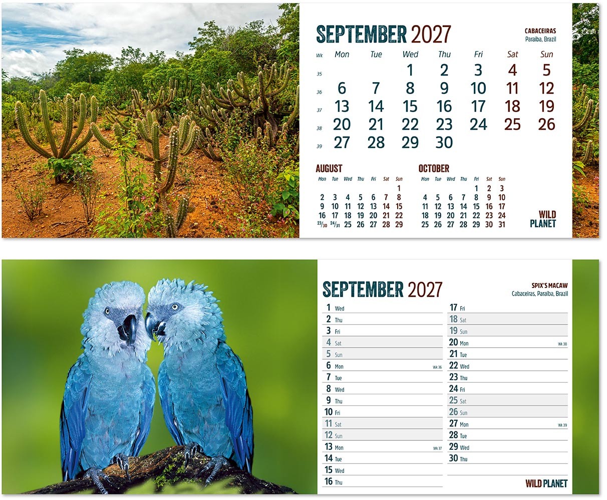 Wild Planet Premium Lined Easel Desk Calendar