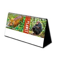 Wild Planet Premium Lined Easel Desk Calendar
