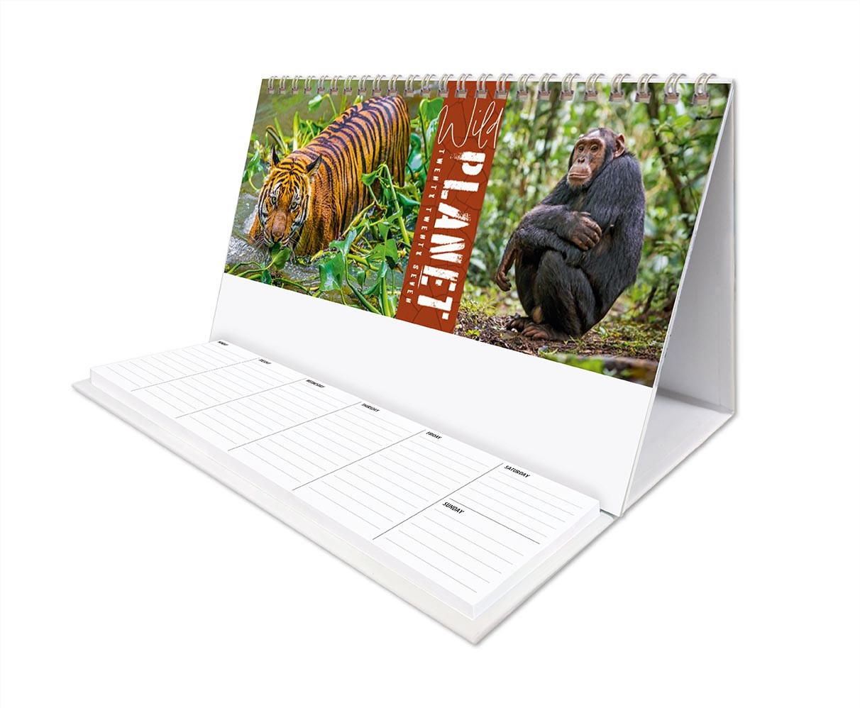 Wild Planet Task Station Desk Calendar