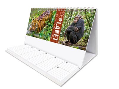 Wild Planet Task Station Desk Calendar