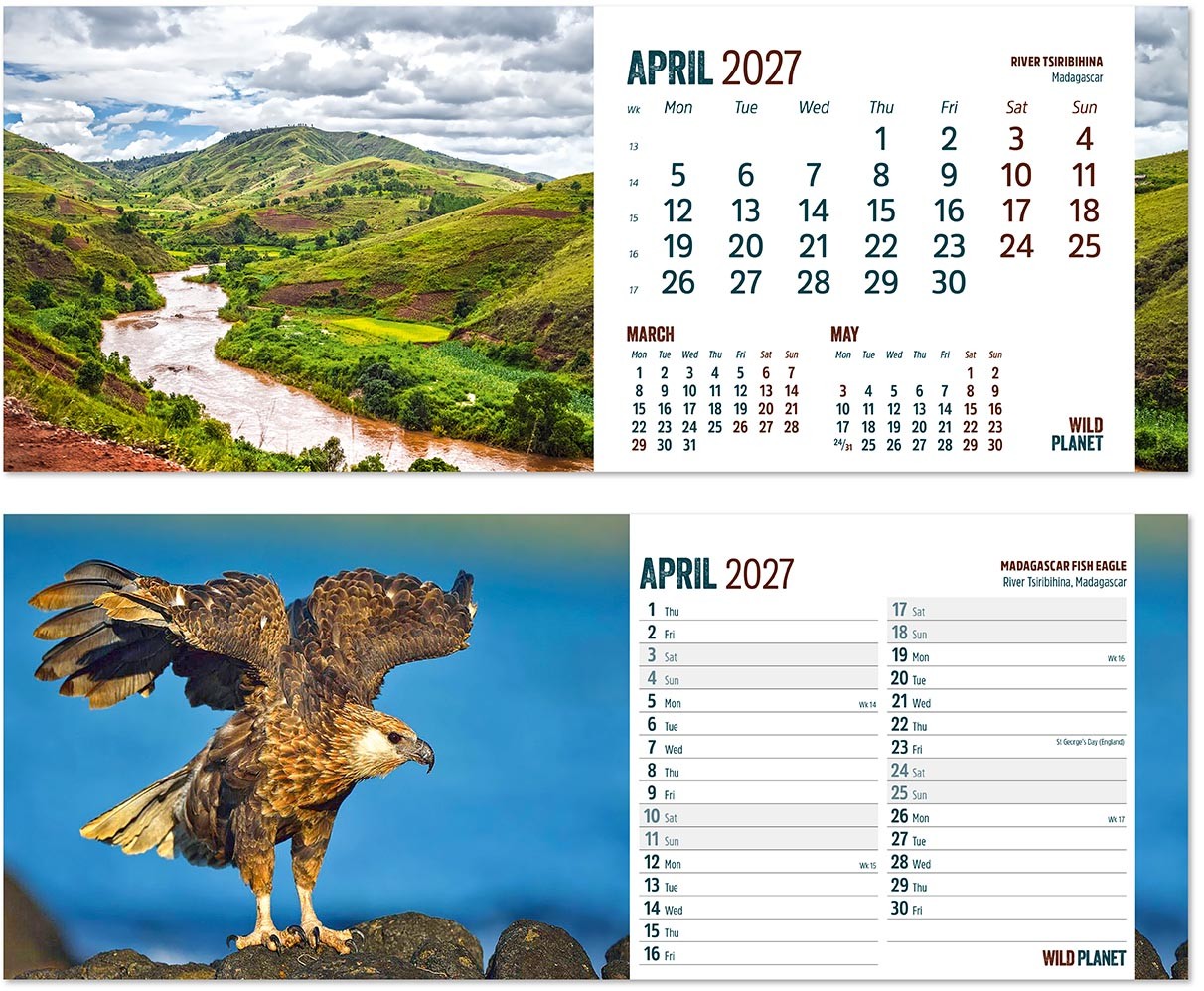 Wild Planet Task Station Desk Calendar