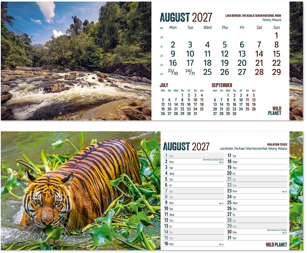 Wild Planet Task Station Desk Calendar