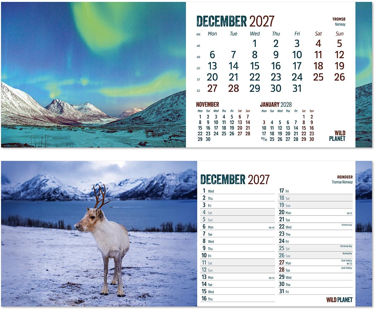 Wild Planet Task Station Desk Calendar