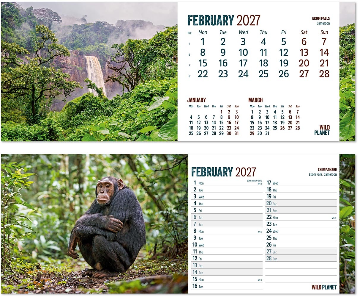 Wild Planet Task Station Desk Calendar
