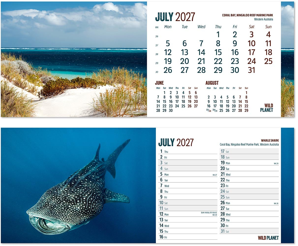 Wild Planet Task Station Desk Calendar