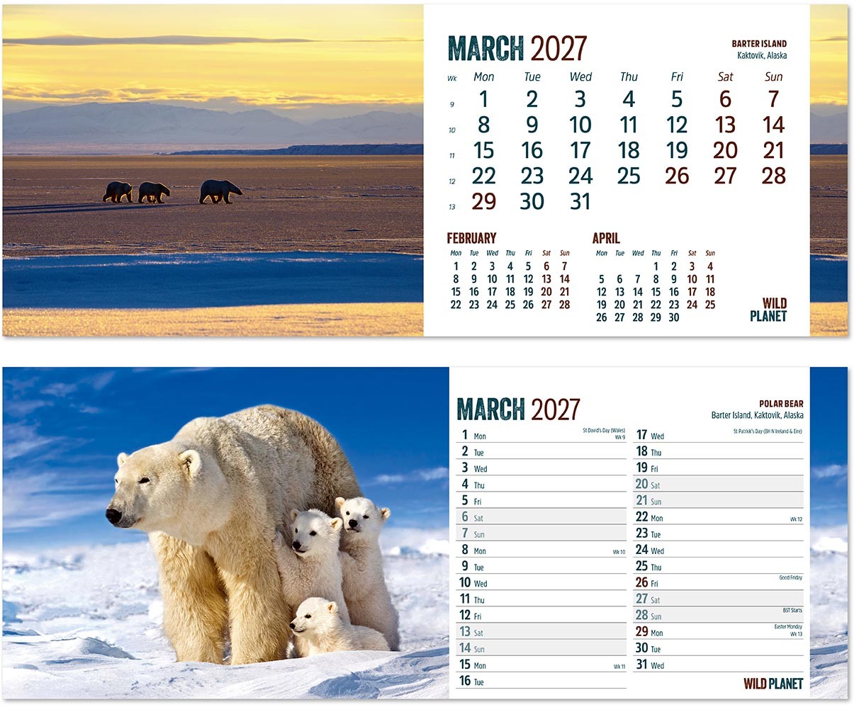 Wild Planet Task Station Desk Calendar
