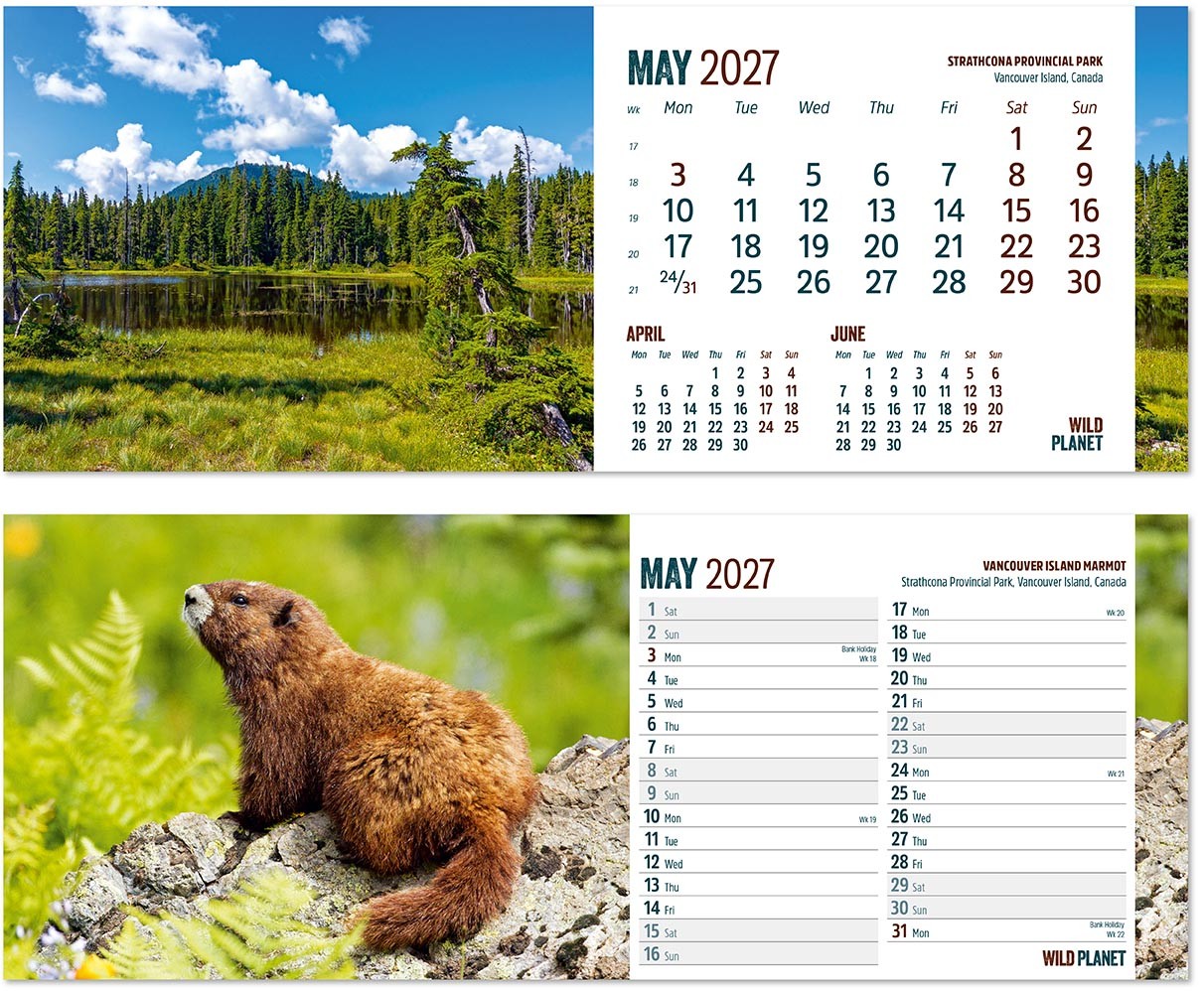 Wild Planet Task Station Desk Calendar