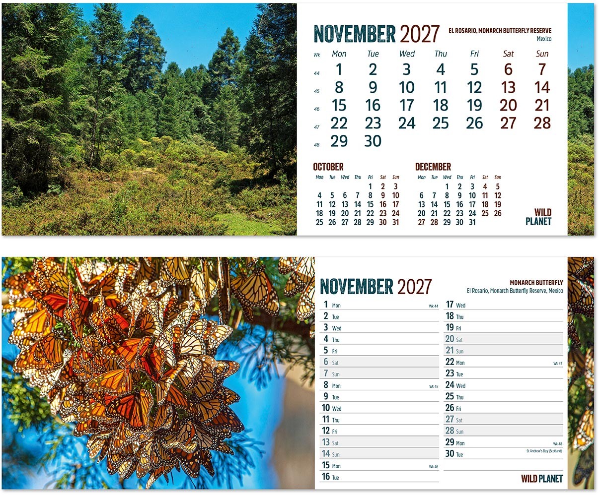 Wild Planet Task Station Desk Calendar