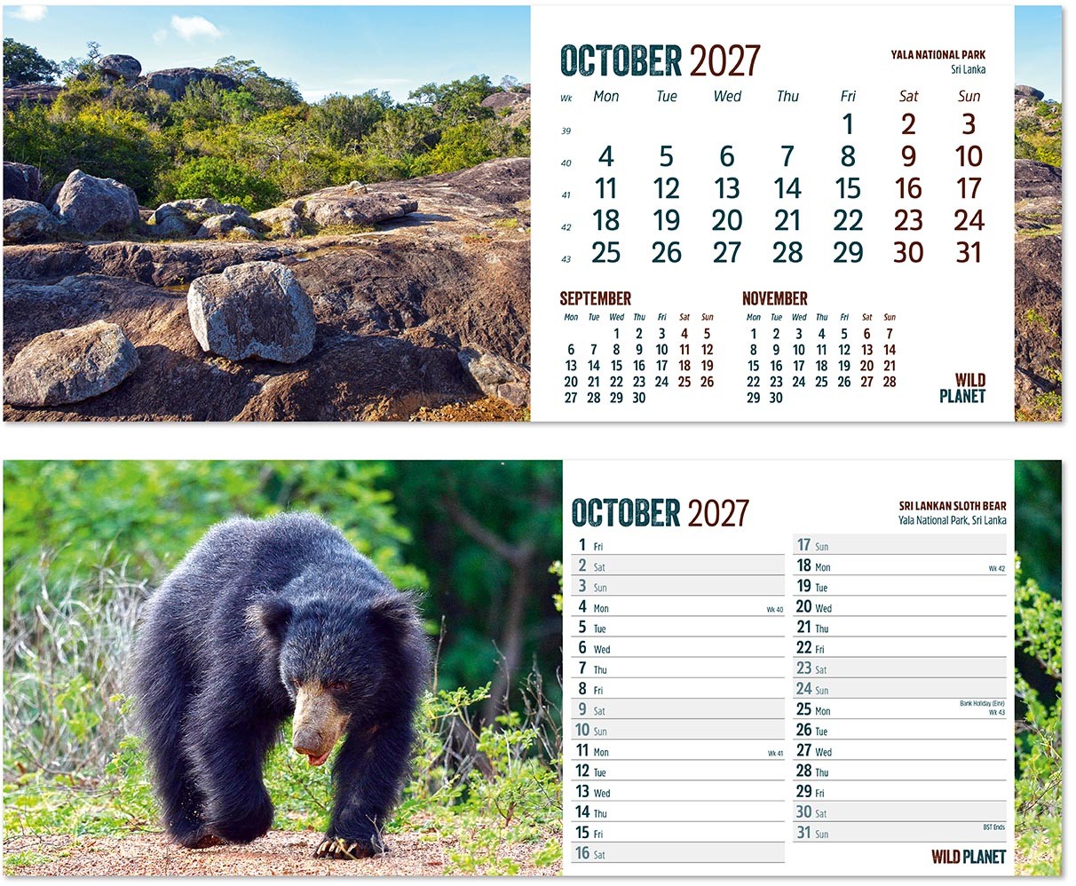 Wild Planet Task Station Desk Calendar