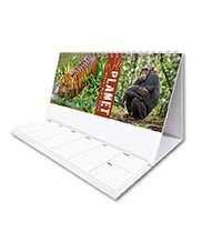 Wild Planet Task Station Desk Calendar