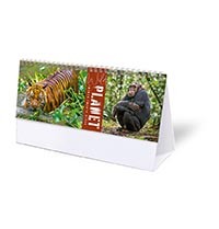 Wild Planet Desk Calendar