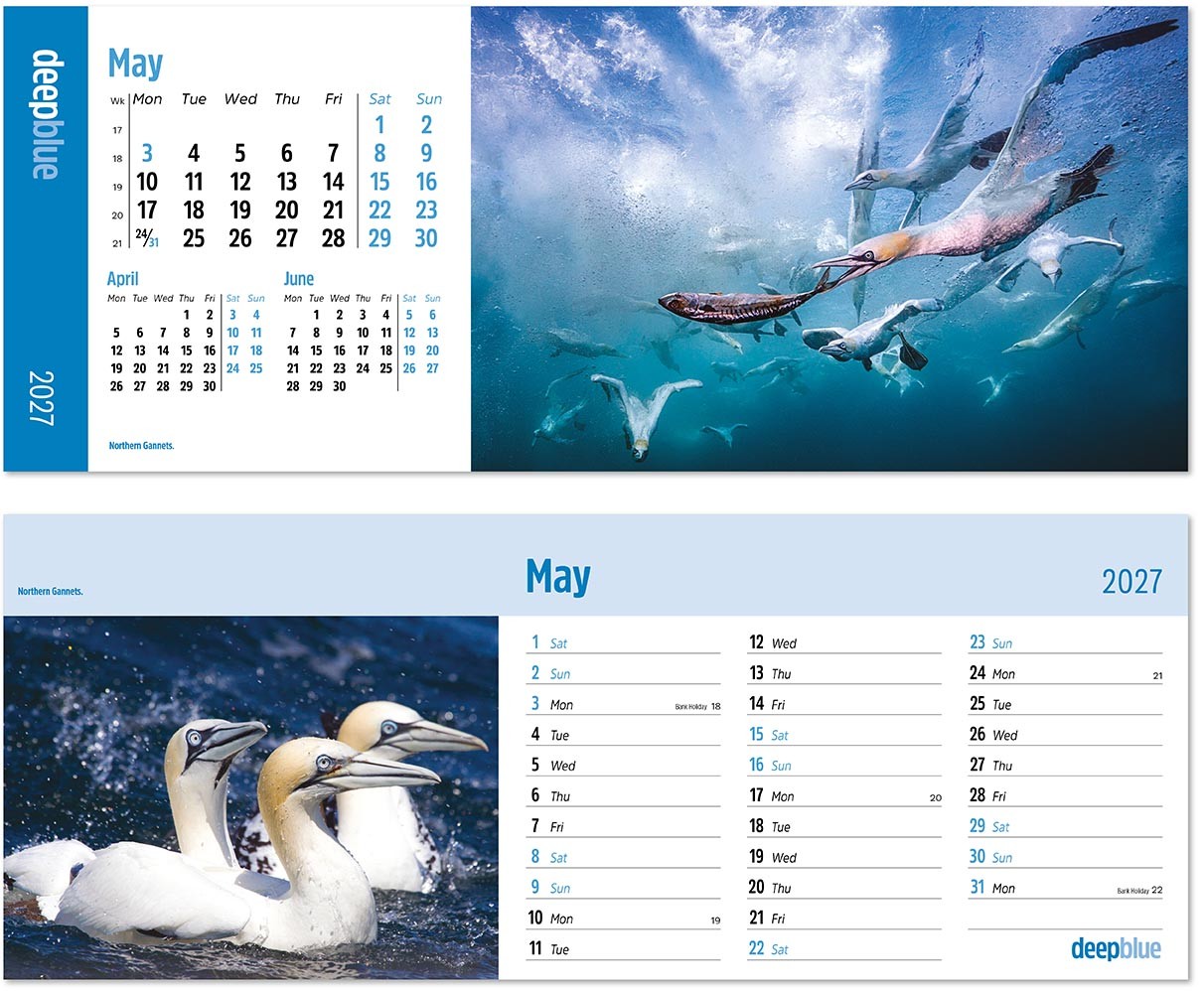Deep Blue Premium Lined Easel Desk Calendar