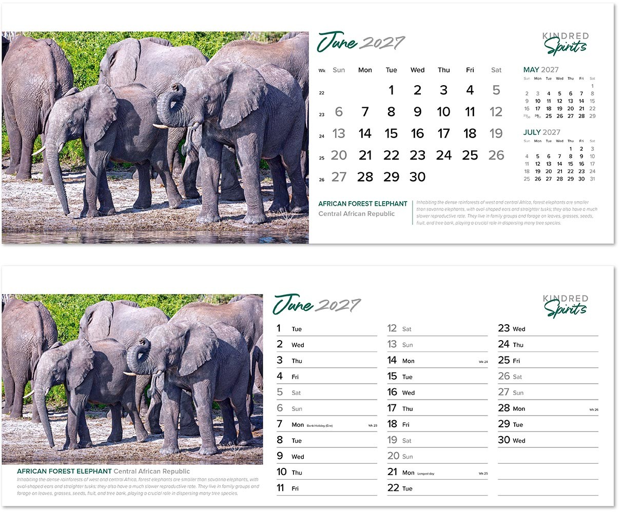 Kindred Spirits Note Station Desk Calendar