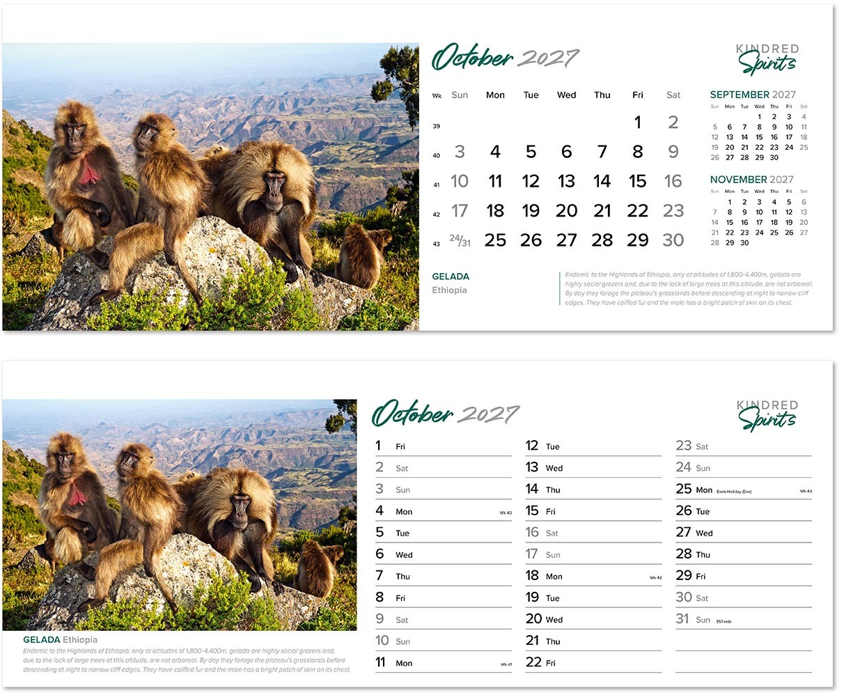 Kindred Spirits Note Station Desk Calendar