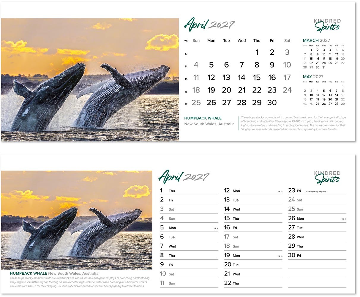 Kindred Spirits Premium Lined Easel Desk Calendar