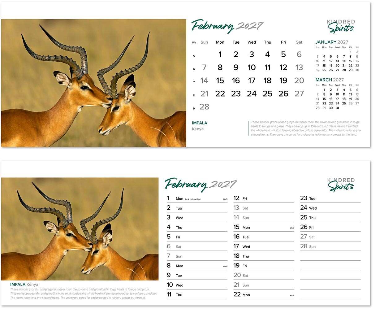 Kindred Spirits Premium Lined Easel Desk Calendar