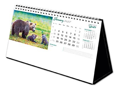 Kindred Spirits Premium Lined Easel Desk Calendar