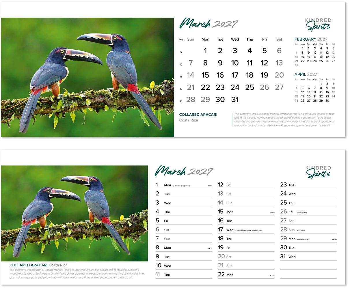 Kindred Spirits Premium Lined Easel Desk Calendar