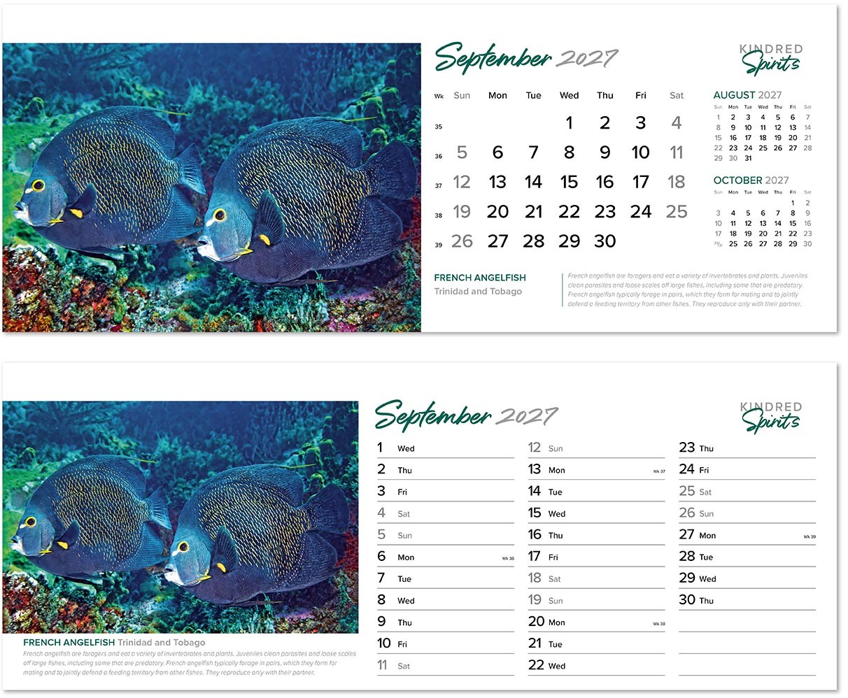 Kindred Spirits Premium Lined Easel Desk Calendar