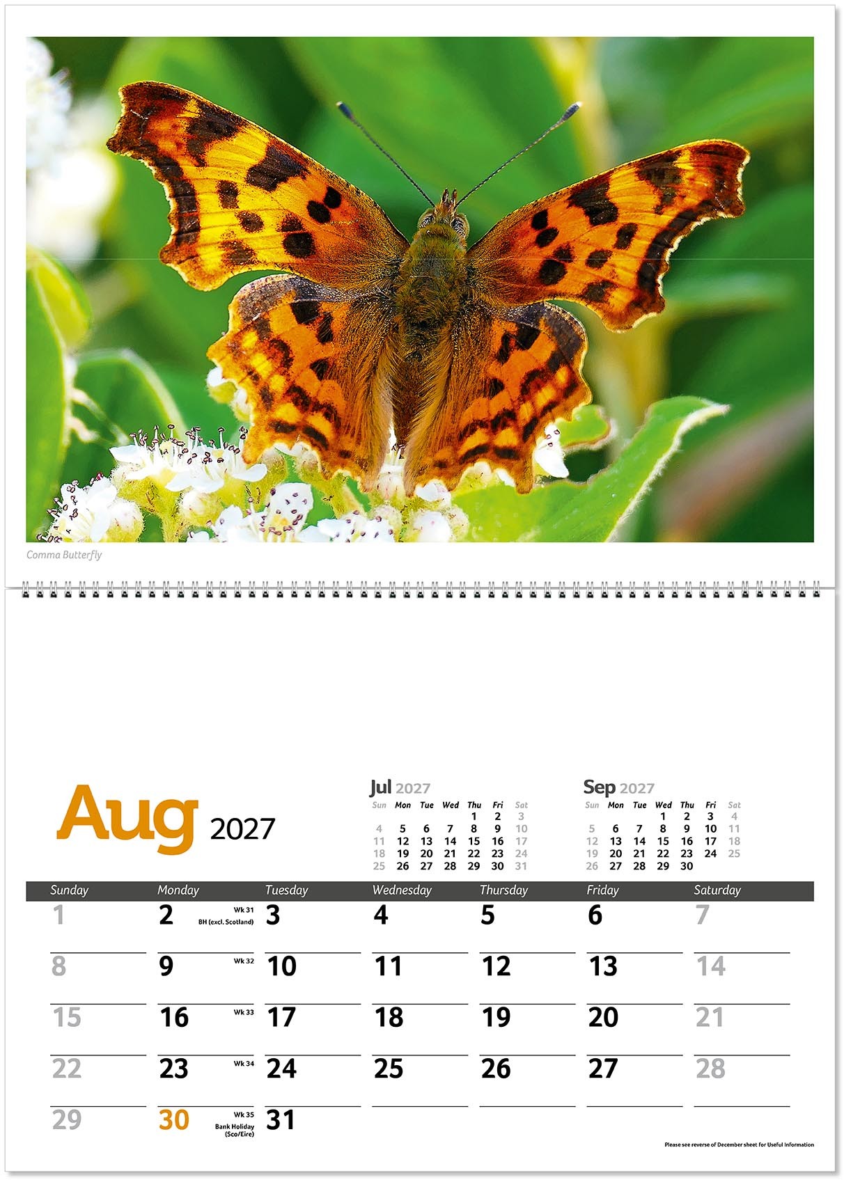 Wildlife in Britain Postage Saver Calendar