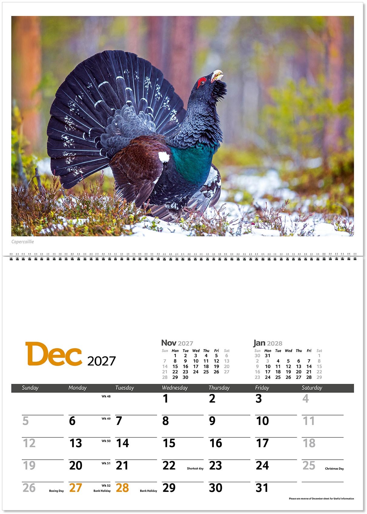 Wildlife in Britain Postage Saver Calendar