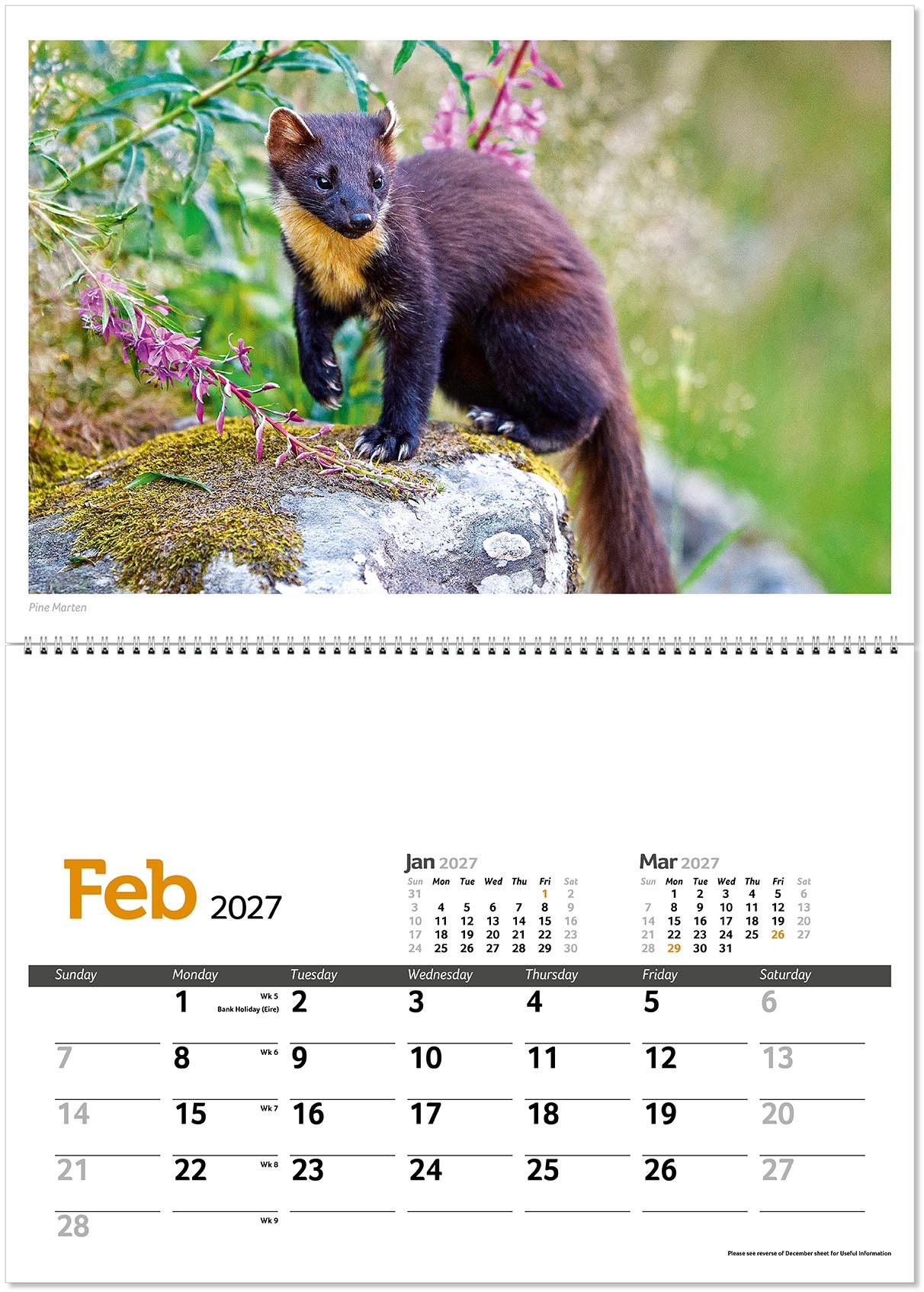 Wildlife in Britain Postage Saver Calendar