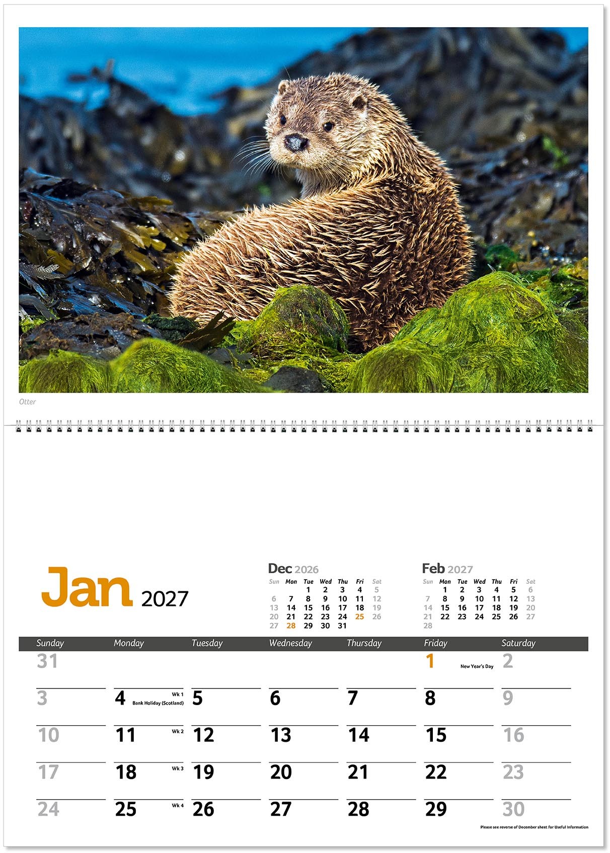 Wildlife in Britain Postage Saver Calendar