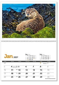 Wildlife in Britain Postage Saver Calendar