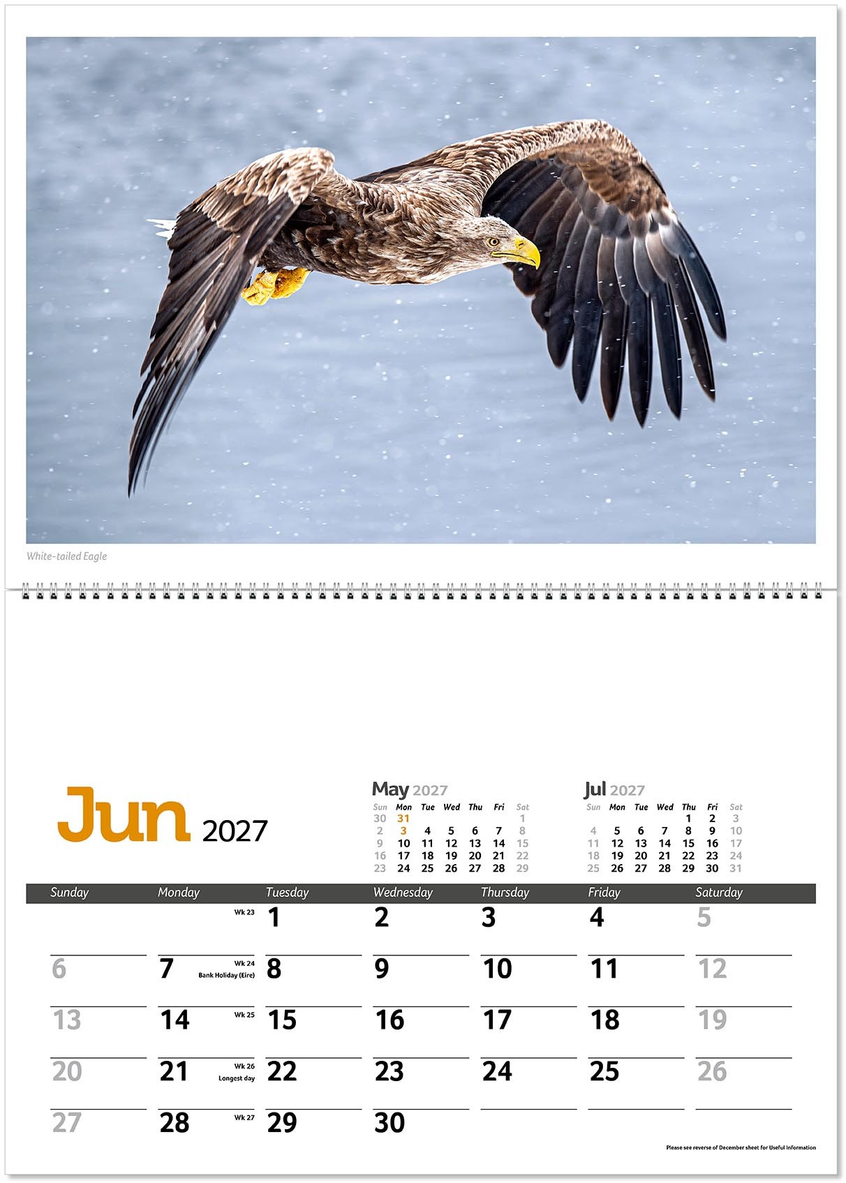 Wildlife in Britain Postage Saver Calendar