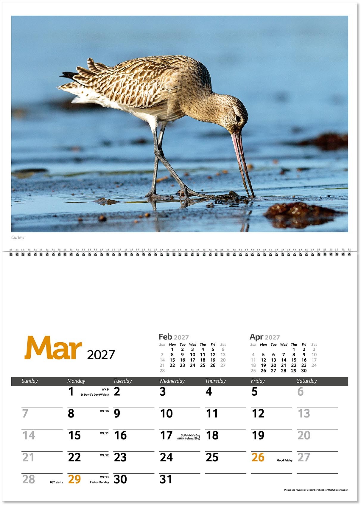Wildlife in Britain Postage Saver Calendar