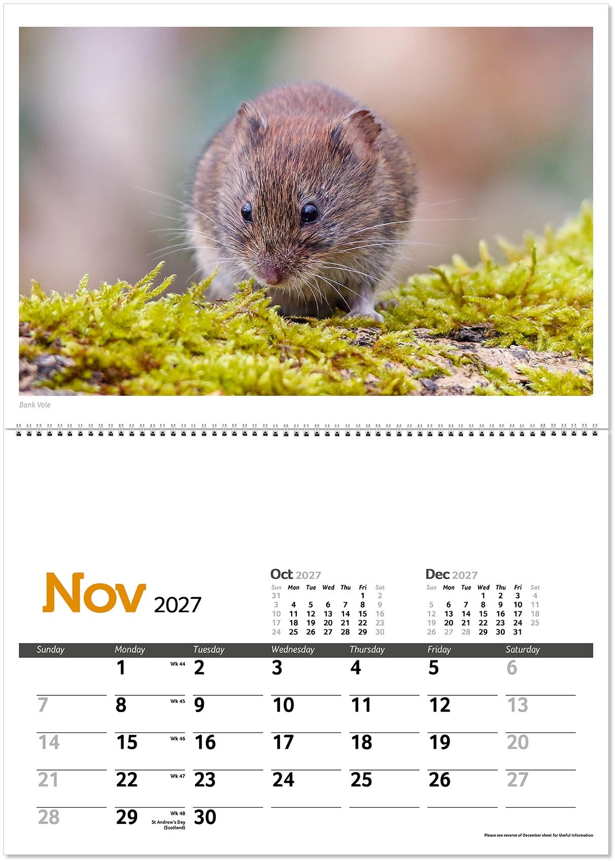 Wildlife in Britain Postage Saver Calendar