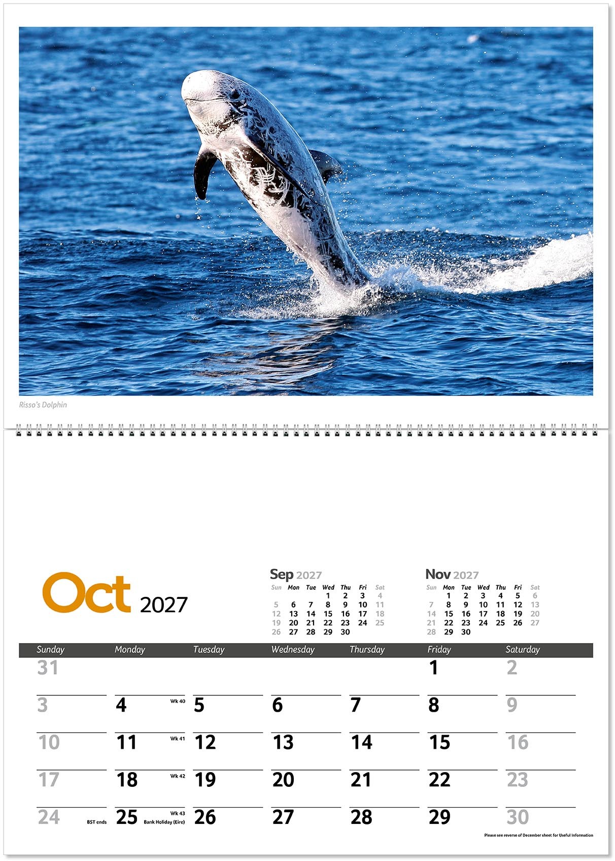 Wildlife in Britain Postage Saver Calendar