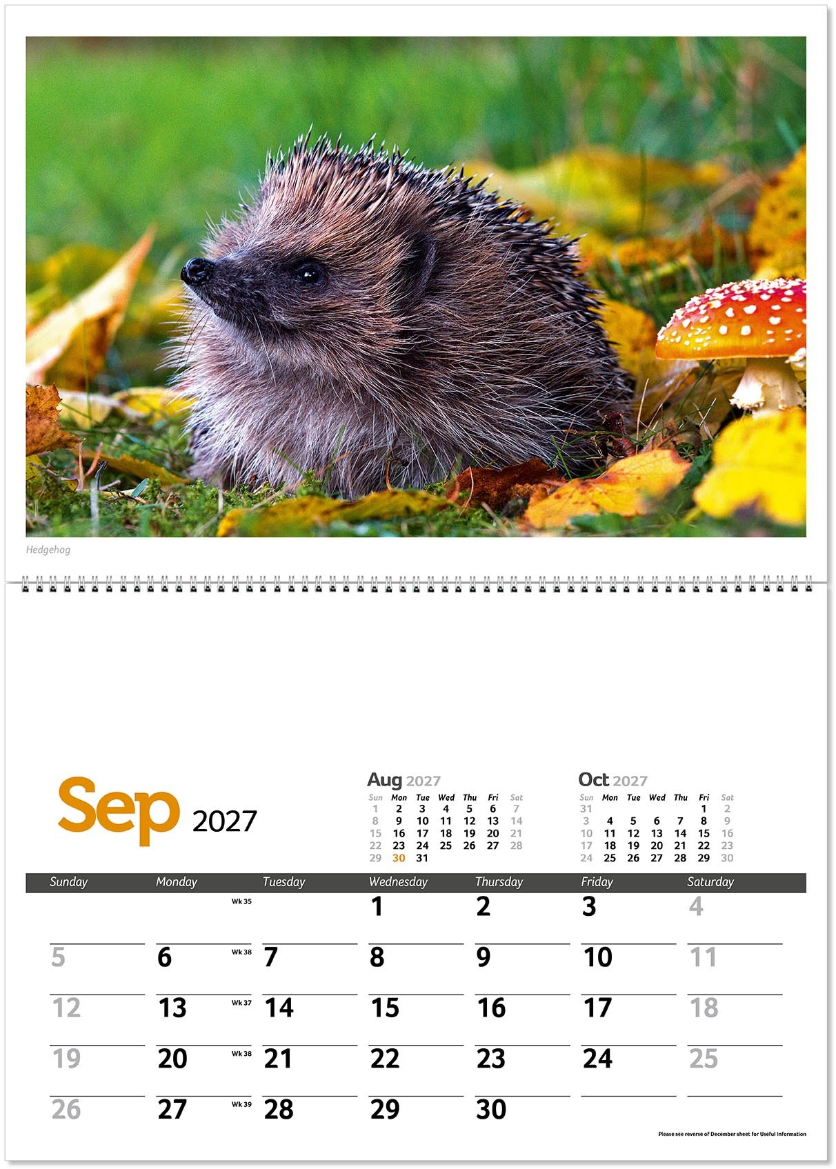 Wildlife in Britain Postage Saver Calendar
