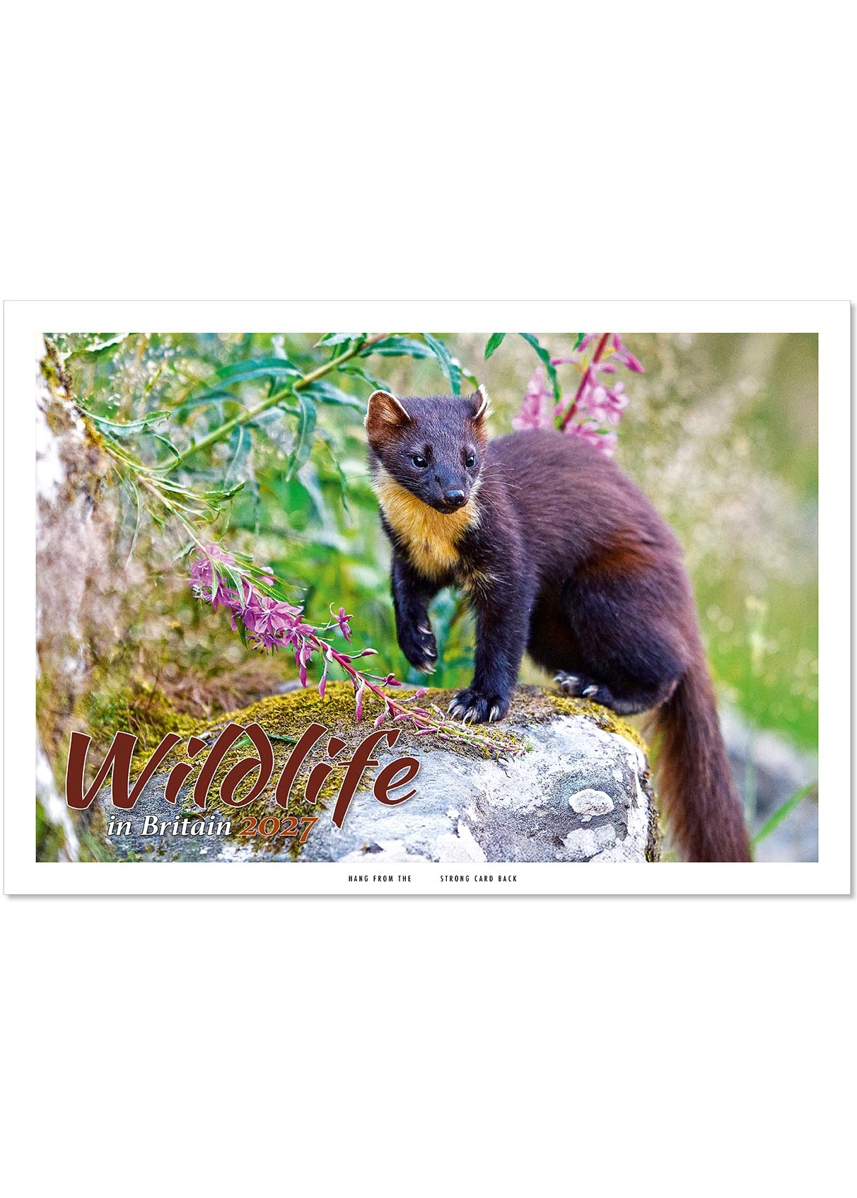 Wildlife in Britain Postage Saver Calendar