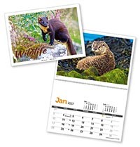 Wildlife in Britain Postage Saver Calendar