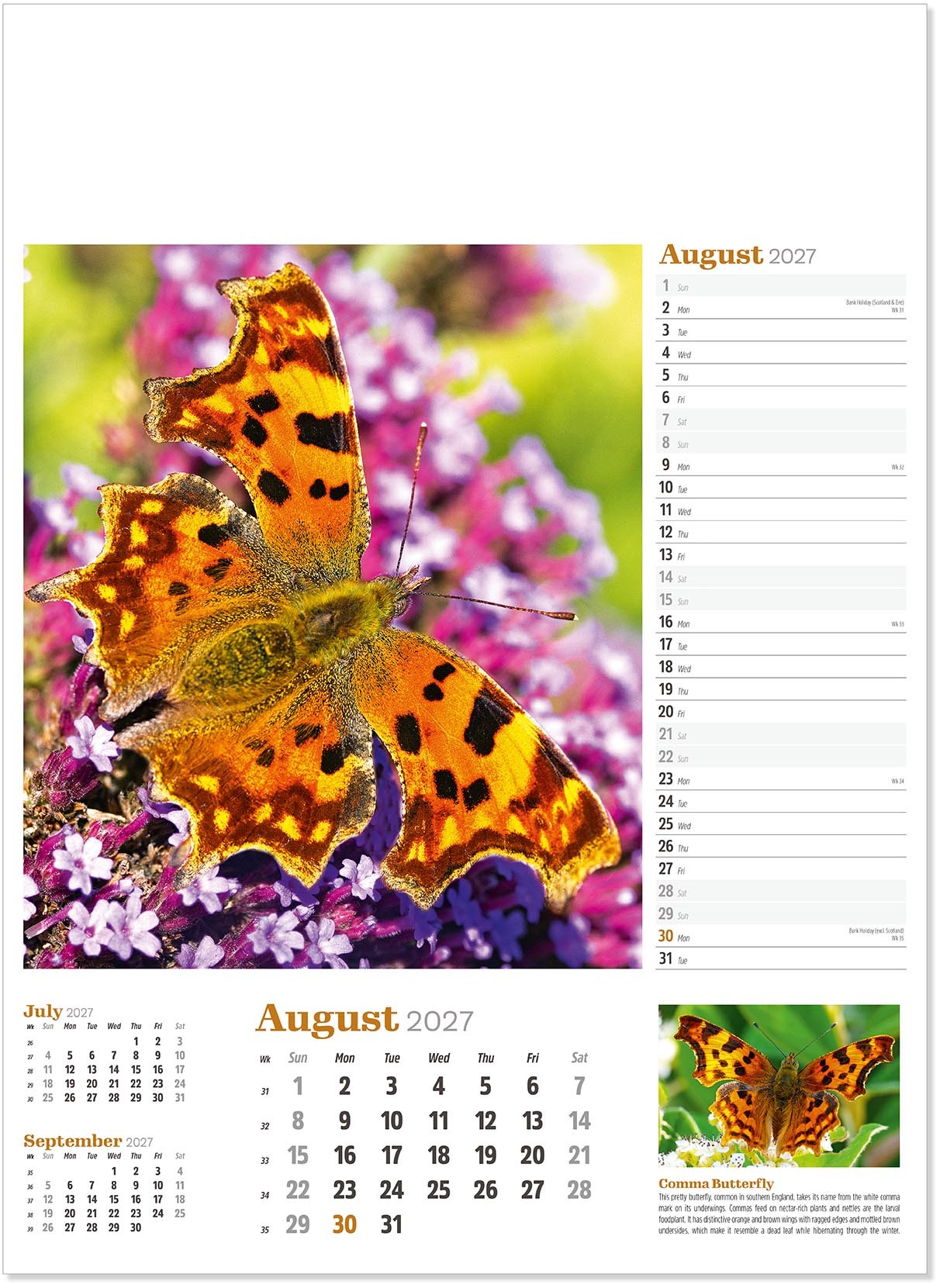 Wildlife in Britain Wall Calendar