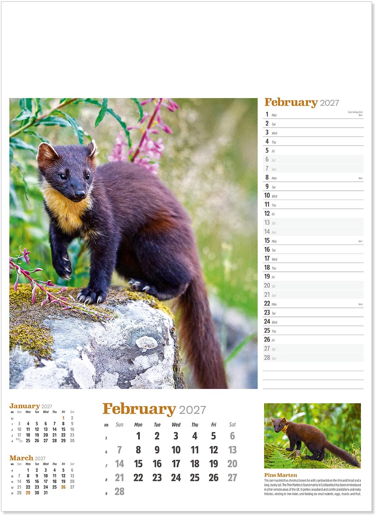 Wildlife in Britain Wall Calendar