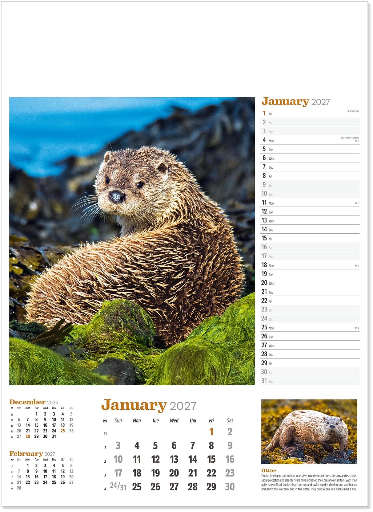 Wildlife in Britain Wall Calendar
