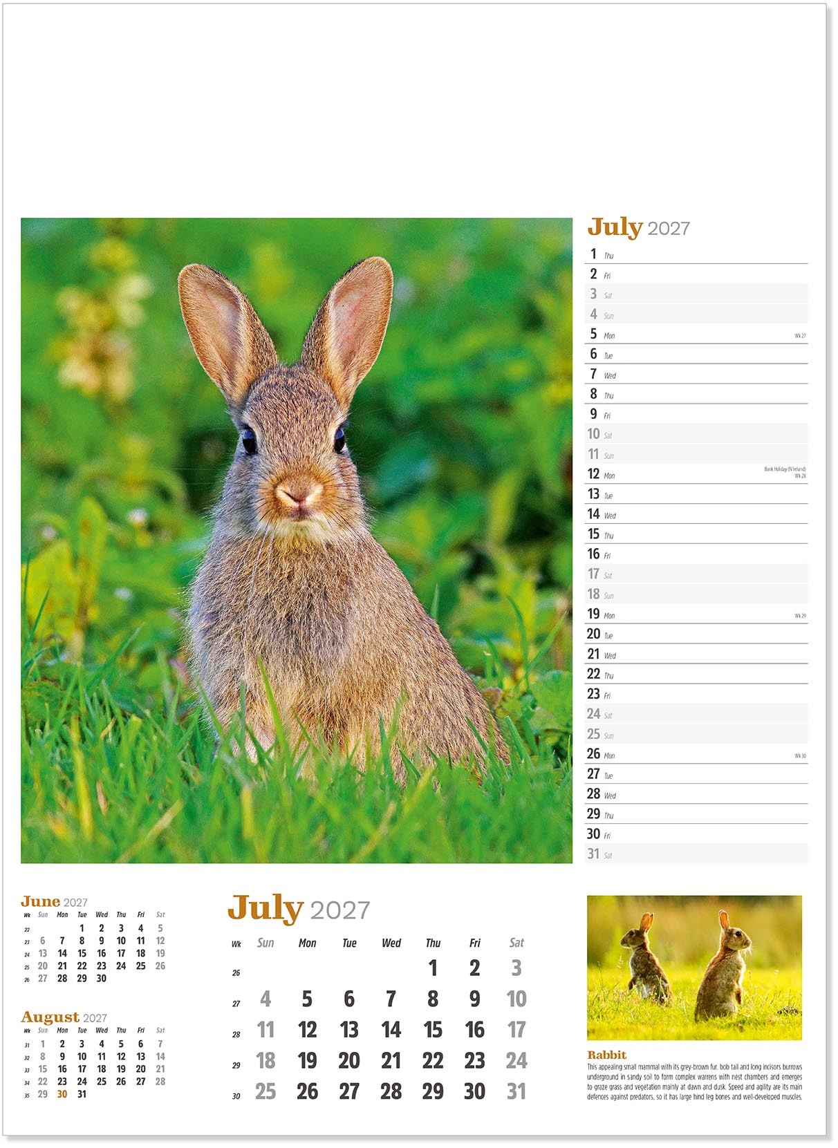 Wildlife in Britain Wall Calendar