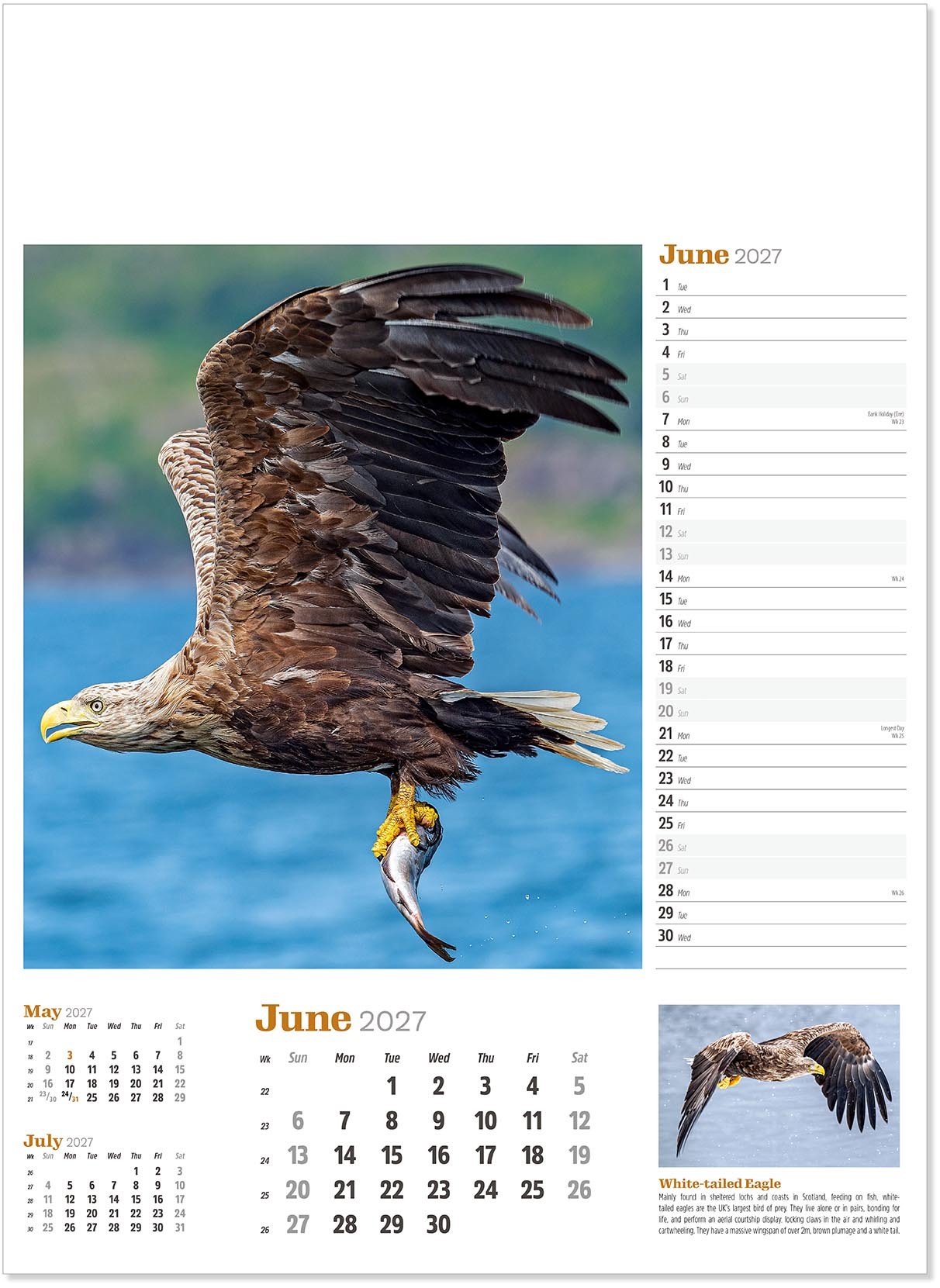 Wildlife in Britain Wall Calendar