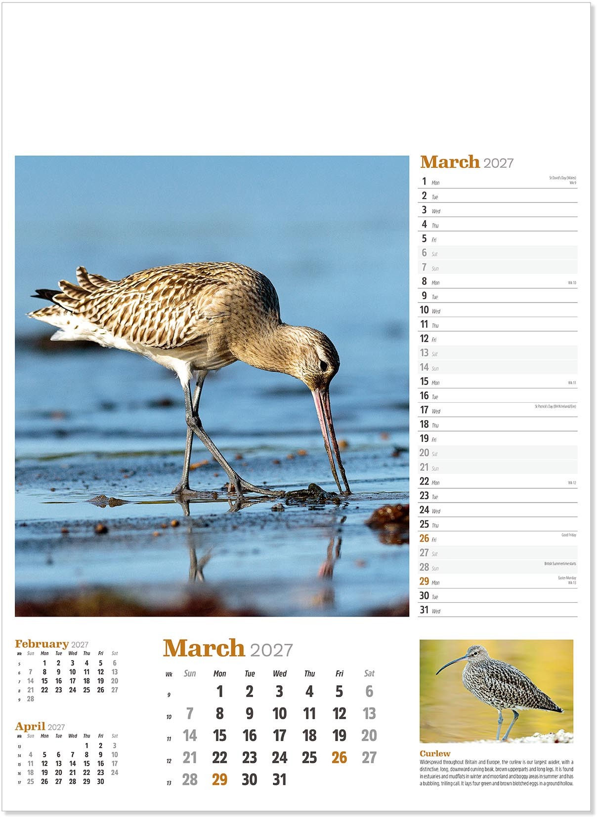 Wildlife in Britain Wall Calendar