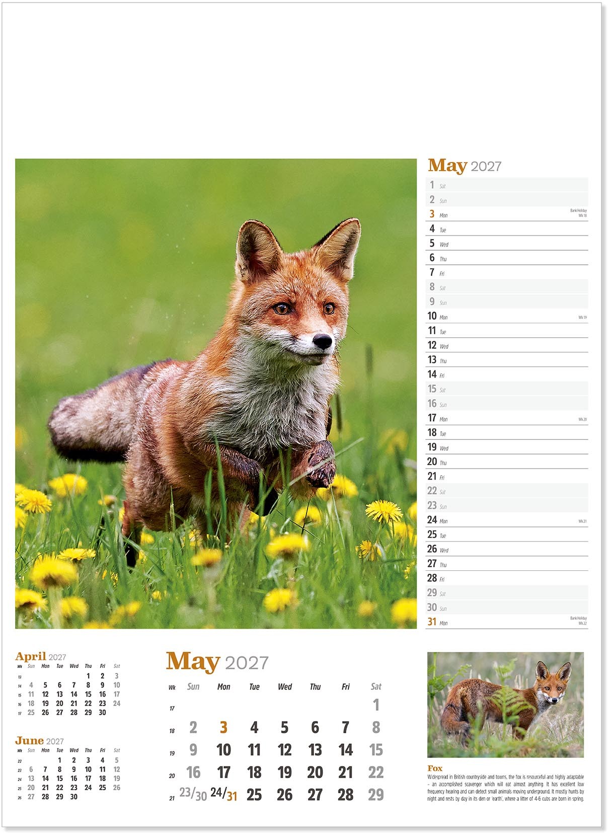 Wildlife in Britain Wall Calendar